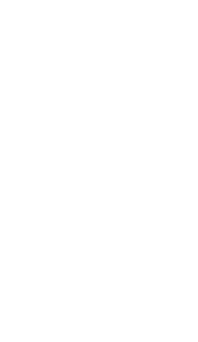 programs-shape-2.png